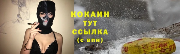 мет Елизово
