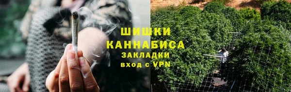 эйфоретик Ельня