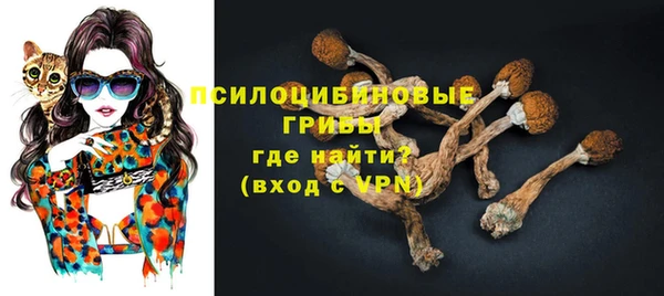 мет Елизово