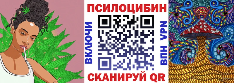 Псилоцибиновые грибы GOLDEN TEACHER  Артём 