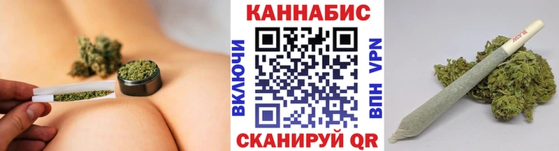 Конопля гибрид  Артём 